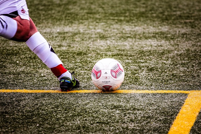 他們展現了 他們展現了