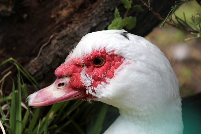 经济收益 经济收益