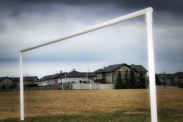 不僅能夠提 不僅能夠提