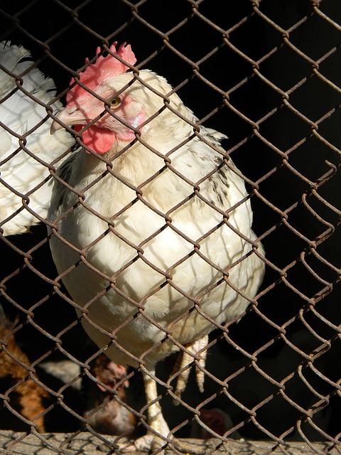 場地設施的 場地設施的